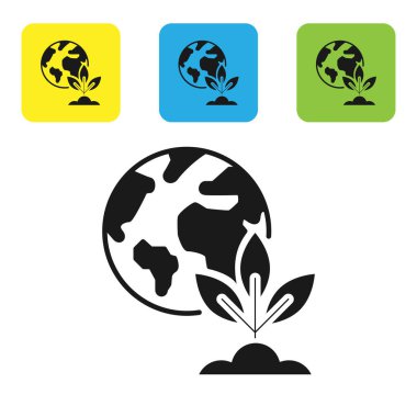 Siyah Dünya küresi ve bitki ikonu beyaz arka planda izole edilmiş. Dünya ya da Dünya işareti. Geometrik şekiller. Çevresel konsept. Renkli kare düğmeleri ayarlayın. Vektör İllüstrasyonu