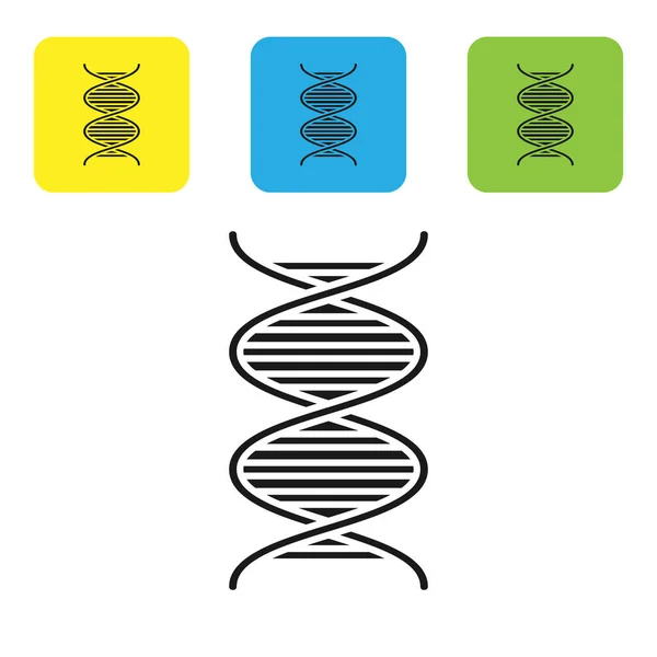 Svart Dna symbol ikon isolerad på vit bakgrund. Ställ ikoner färgglada fyrkantiga knappar. Vektor Illustration — Stock vektor