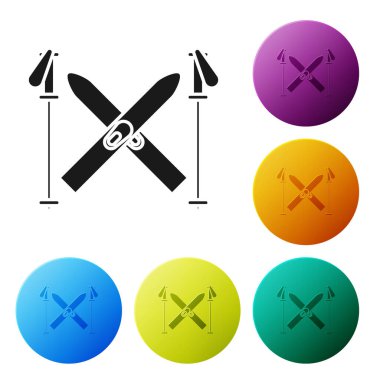 Siyah Kayak ve Çubuk simgesi beyaz arkaplanda izole edildi. Olağanüstü bir spor. Kayak ekipmanları. Kış sporları ikonu. Renkli daire düğmelerini ayarlayın. Vektör İllüstrasyonu