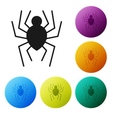 Siyah Örümcek simgesi beyaz arkaplanda izole edildi. Mutlu Cadılar Bayramı Partisi. Renkli daire düğmelerini ayarlayın. Vektör İllüstrasyonu