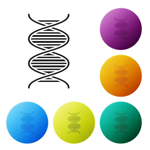 Siyah DNA sembolü simgesi beyaz arkaplanda izole edildi. Renkli daire düğmelerini ayarlayın. Vektör İllüstrasyonu — Stok Vektör