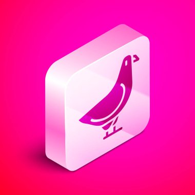 Pembe arka planda izole edilmiş Isometric Dove simgesi. Gümüş kare düğme. Vektör