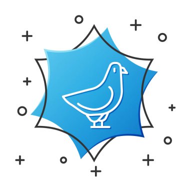 Beyaz çizgi güvercin simgesi beyaz arkaplanda izole edildi. Mavi altıgen düğmesi. Vektör.