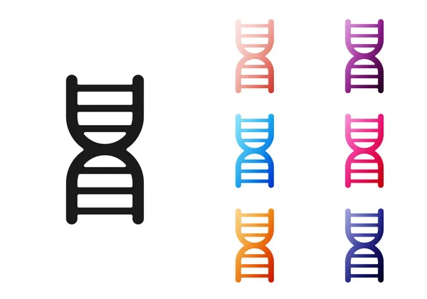 Black Dna Symbol Icon Isolated White Background Set Icons Colorful — Stock Vector