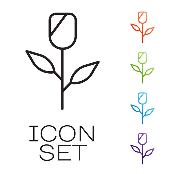 Черная линия Цветок розовый значок изолирован на белом фоне. Набор иконок красочный. Вектор.
