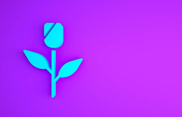Синий цветок розовый значок изолирован на фиолетовом фоне. Концепция минимализма. 3D-рендеринг