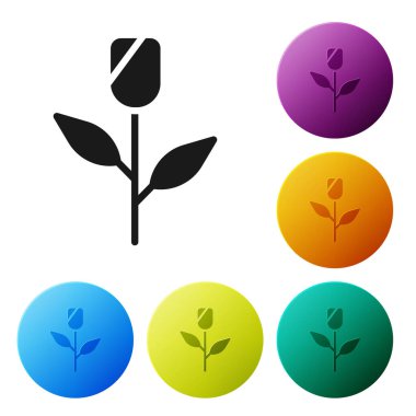 Beyaz arkaplanda siyah çiçek ikonu izole edildi. Simgeleri renk daire düğmelerine ayarla. Vektör.