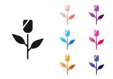 Beyaz arkaplanda siyah çiçek ikonu izole edildi. Simgeleri renklendirin. Vektör.