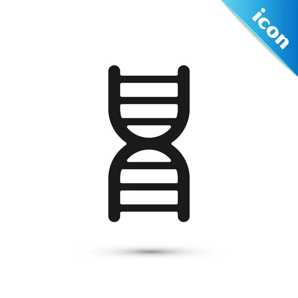 Grey Dna Symbol Icon Isolated White Background Vector — Stock Vector