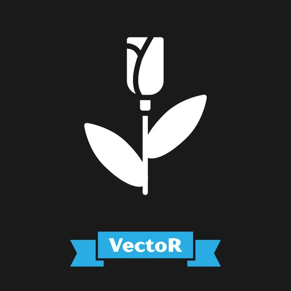 Weiße Blume Rose Symbol Isoliert Auf Schwarzem Hintergrund Vektor — Stockvektor