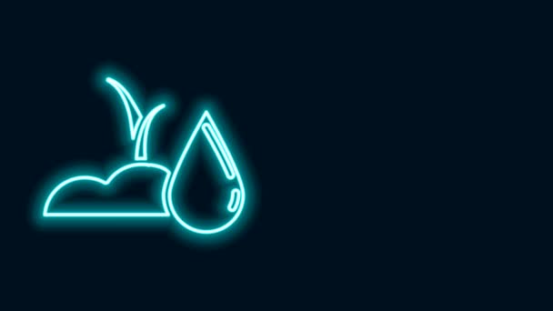 Glowing neon line Watering sprout icon isolated on black background. Seed and seedling. Irrigation symbol. Leaf nature. 4K Video motion graphic animation — Stock Video