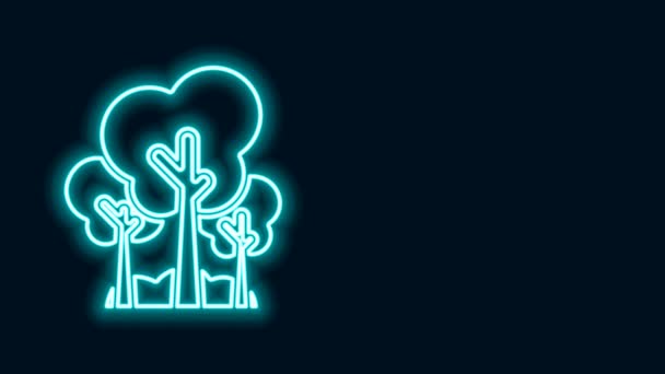 Linha de néon brilhante Árvores ícone isolado no fundo preto. Símbolo florestal. Animação gráfica em movimento de vídeo 4K — Vídeo de Stock