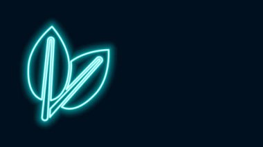 Parlayan neon hattı Leafs simgesi siyah arkaplanda izole edildi. Taze doğal ürün sembolü. 4K Video hareketli grafik canlandırması