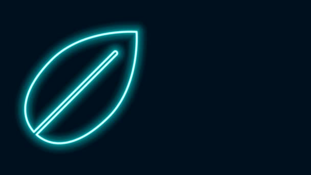 Ragyogó neon vonal Leaf ikon elszigetelt fekete háttérrel. Friss természetes termék szimbólum. 4K Videó mozgás grafikus animáció — Stock videók