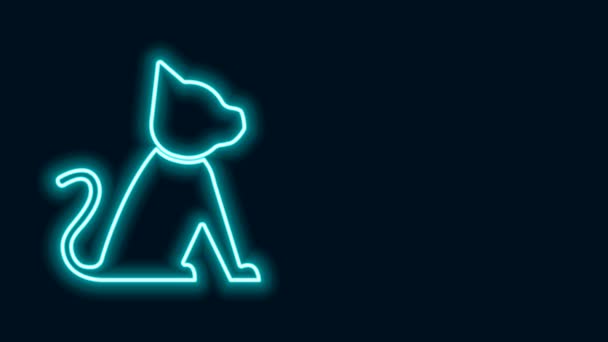 Ligne lumineuse au néon Icône Cat isolée sur fond noir. Animation graphique de mouvement vidéo 4K — Video
