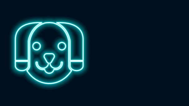 Glödande neon line Dog ikon isolerad på svart bakgrund. 4K Video motion grafisk animation — Stockvideo