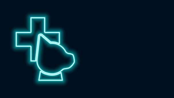 Linha de néon brilhante ícone de símbolo de clínica veterinária isolado no fundo preto. Cruze com cão cuidados veterinários. Sinal de primeiros socorros. Animação gráfica em movimento de vídeo 4K — Vídeo de Stock