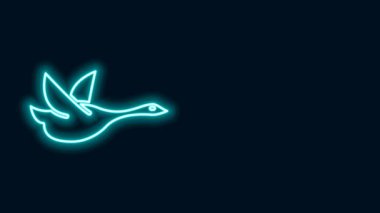 Parlayan neon hattı uçan ördek simgesi siyah arkaplanda izole edildi. 4K Video hareketli grafik canlandırması