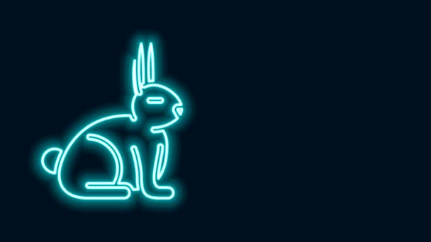 Glödande neon linje Kanin ikon isolerad på svart bakgrund. 4K Video motion grafisk animation — Stockvideo