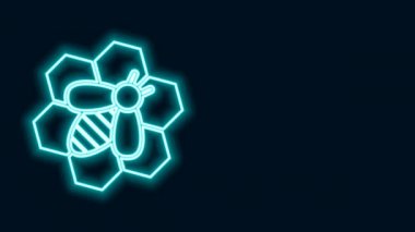 Parlayan neon hattı arısı ve bal peteği simgesi siyah arkaplanda izole edildi. Bal hücreleri. Bal arısı ya da kanat sembollü apis. Uçan böcek. Tatlı doğal yemek. 4K Video hareketli grafik canlandırması