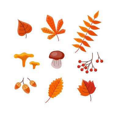 Sonbahar yaprakları ve elementler koleksiyonu. Düz biçimli vektör illüstrasyon şablonu