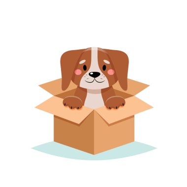 Evcil bir köpek evlat edinin. Beyaz arka planda izole edilmiş, şirin bir köpek.