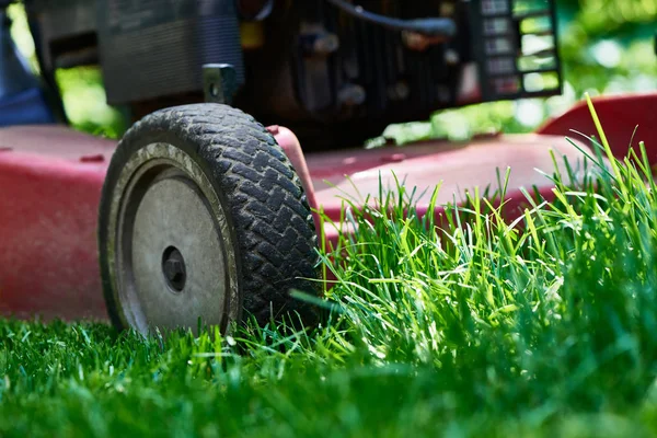 Low angle close up of lawnmower cutting fresh green grass — Stock Photo, Image