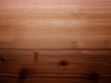 Işık eğimli sedir ağacı arkaplan paneli