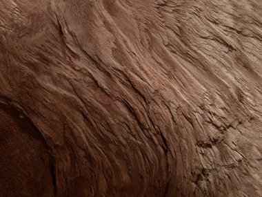 Çürük odun ve kademe.