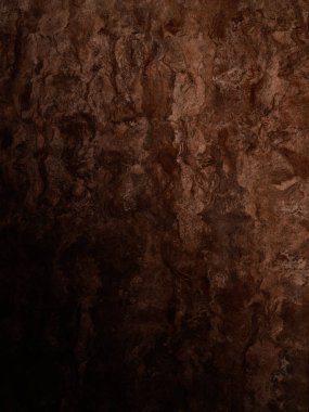 Kalıplaşmış mantar ahşap arkaplan