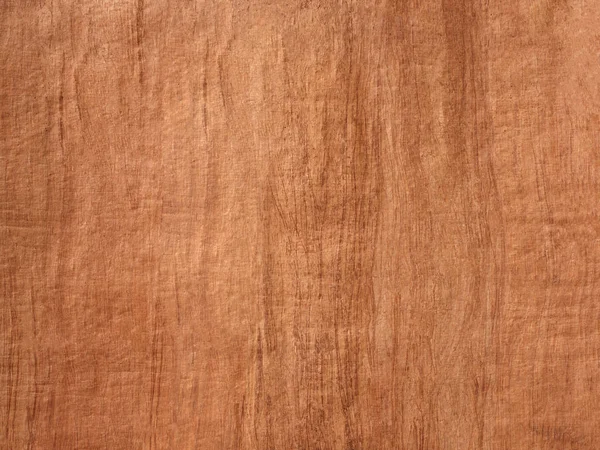 Bark papír dřevo na pozadí — Stock fotografie