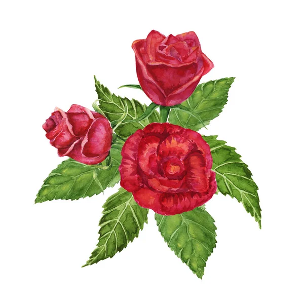 Akwarela ilustracja czerwonych róż — Zdjęcie stockowe