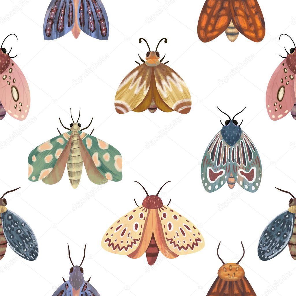 Seamless pattern. Moths on a white background. Handwork. Design for packaging, wallpaper, postcards. Vintage style.