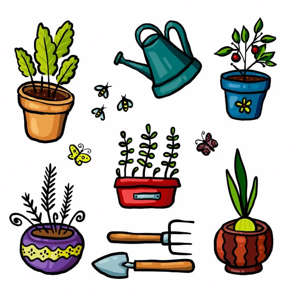 Color illustration. Garden set of plants and garden tools.