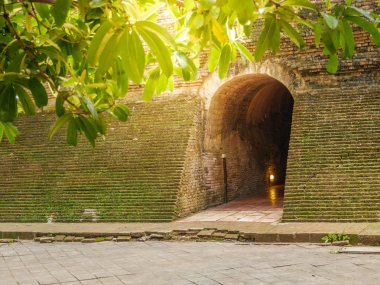 Wat U Mong Antik Tapınağı Chiang mağara seyahat ile 