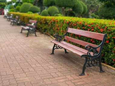 Parktaki ahşap park bankında.