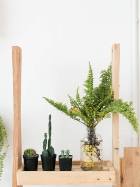 Evde dekore ahşap zemin üzerinde küçük ağaçlar.