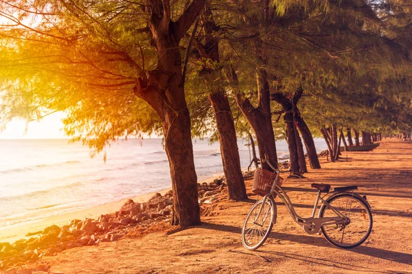 Bicicleta vintage con una cesta cerca de la playa mornimg. Copiar espacio — Foto de Stock