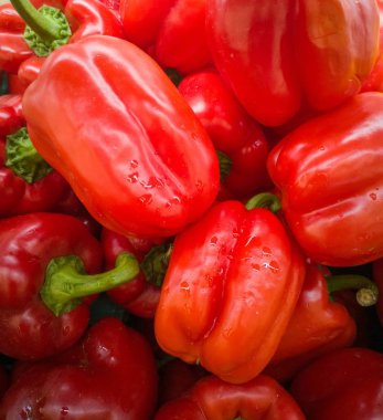 Birçok kırmızı biber yığını.