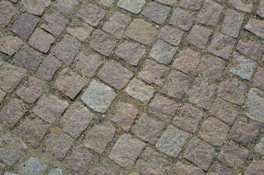 Eyalet başkenti Dresden'de parke taşı