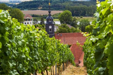 View from the vineyard to the baroque palace 'Seusslitz'