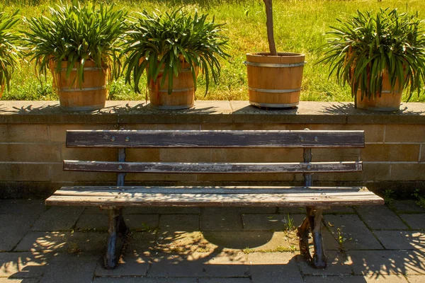 Banco antiguo parque clásico de madera y hierro fundido —  Fotos de Stock