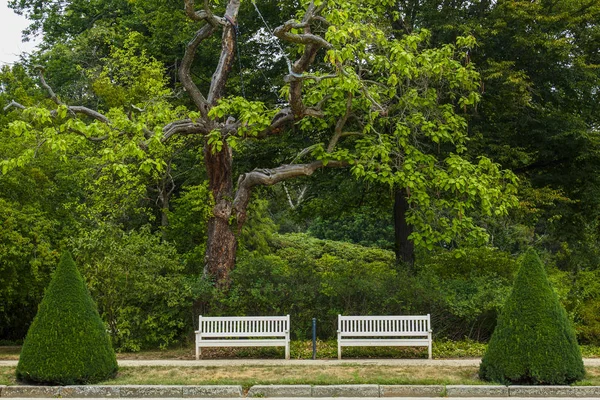 Kamu bahçesinde Park tezgah düzenleme