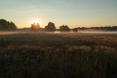 Almanya güzel doğa