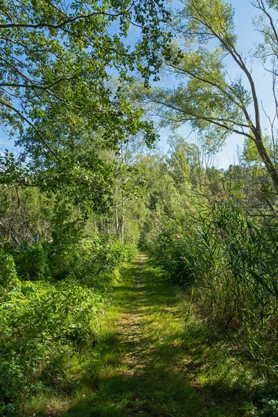 Bella Natura Germania — Foto Stock