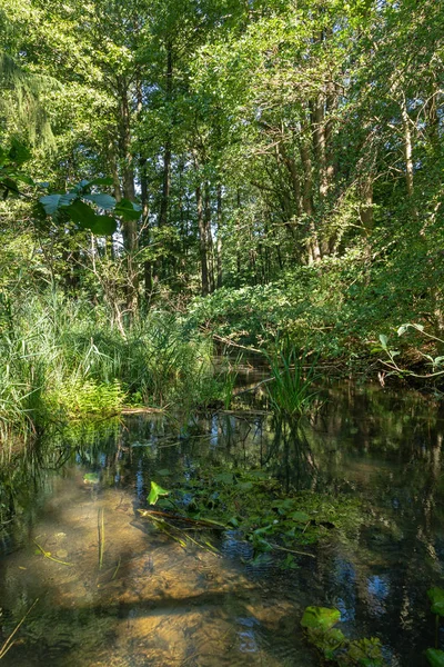 Beautiful Nature Germany — Stock Photo, Image
