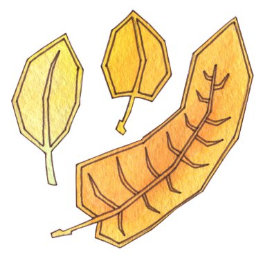 Sonbahar yaprakları sarı ve turuncudur. Anahat ile el çizim suluboya. Hasat zamanı. Sonbahar yaprağı sonbahar.