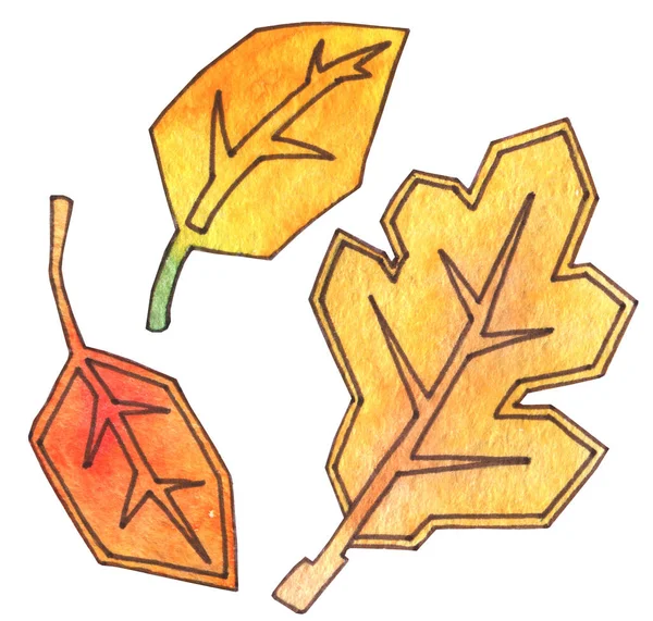 Jesienne liście są żółte i pomarańczowe. Rysunek ręczny akwarela z zarysem. Czas żniw. Jesienny liść upadek. — Zdjęcie stockowe