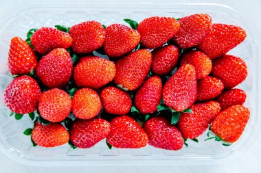 taze kırmızı çilek paketi