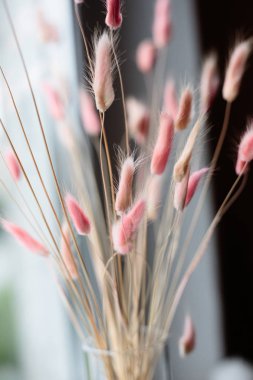 yumuşak kurutulmuş pembe renk çim